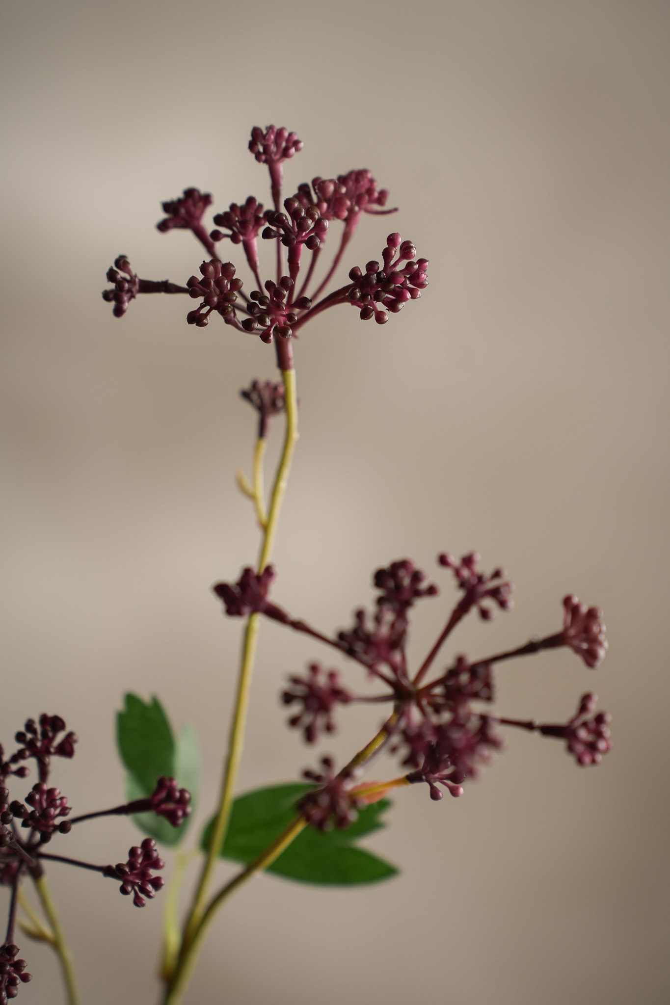 Kunstig burgunder Angelica 58 cm
