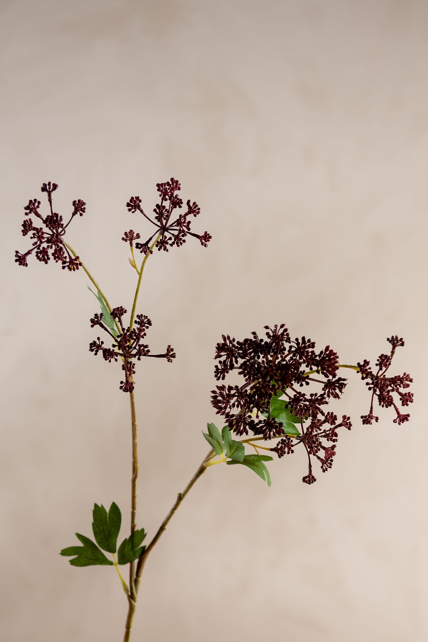 Kunstig burgunder Angelica 87 cm