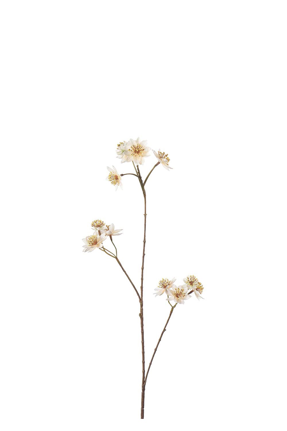 Kunstig kremfarget Stjerneskjerm 72 cm