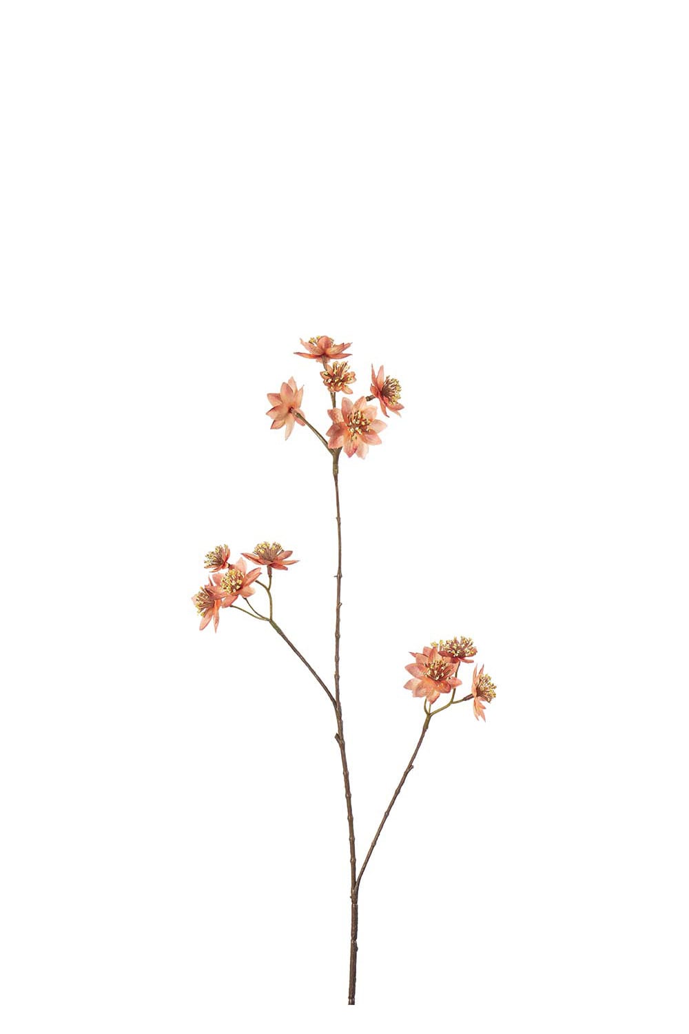 Kunstig ferskenfarget Stjerneskjerm 72 cm