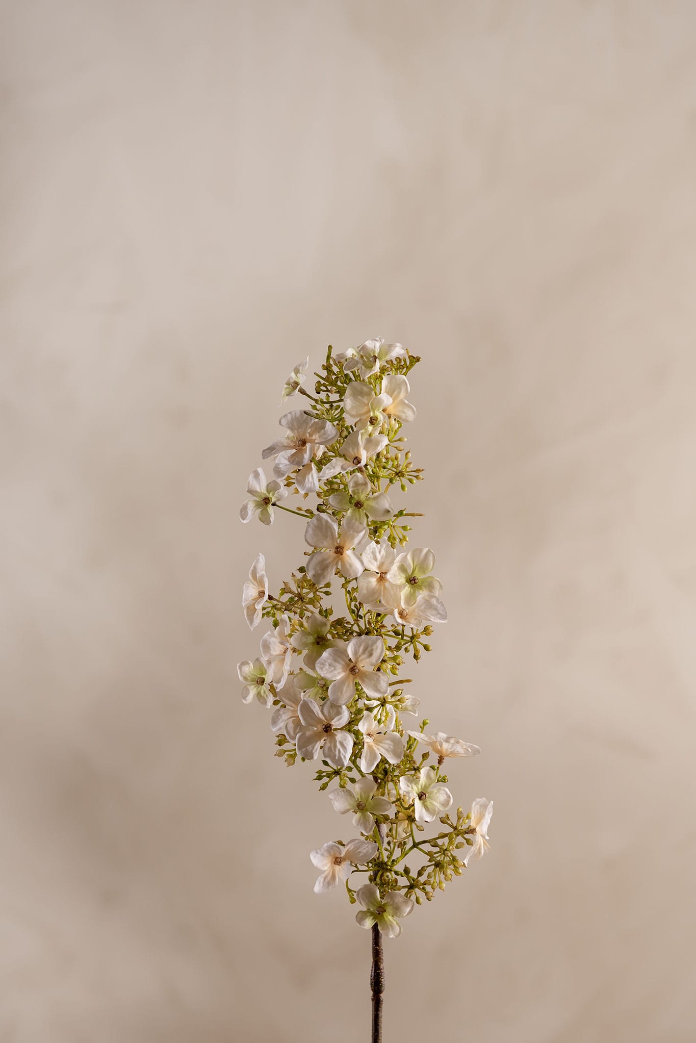 Kunstig kremfarget Hortensia 89 cm