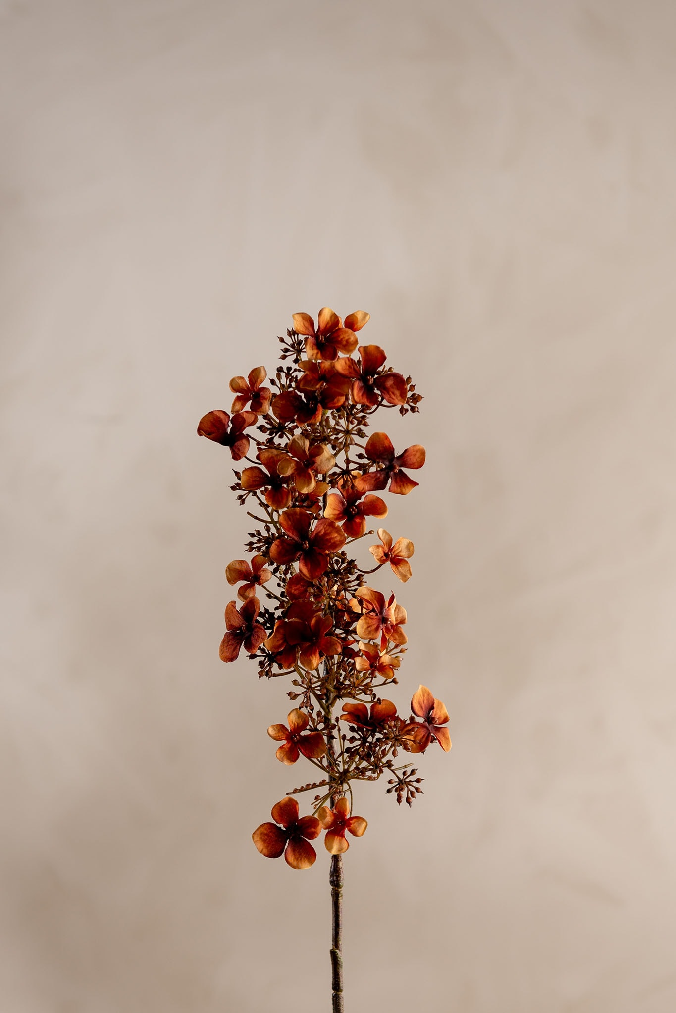 Kunstig brun Hortensia 89 cm