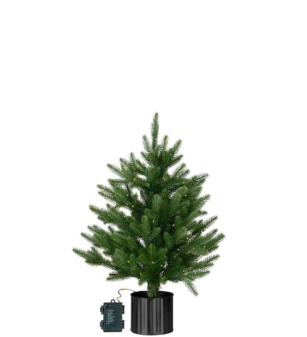 Gran i potte med lys