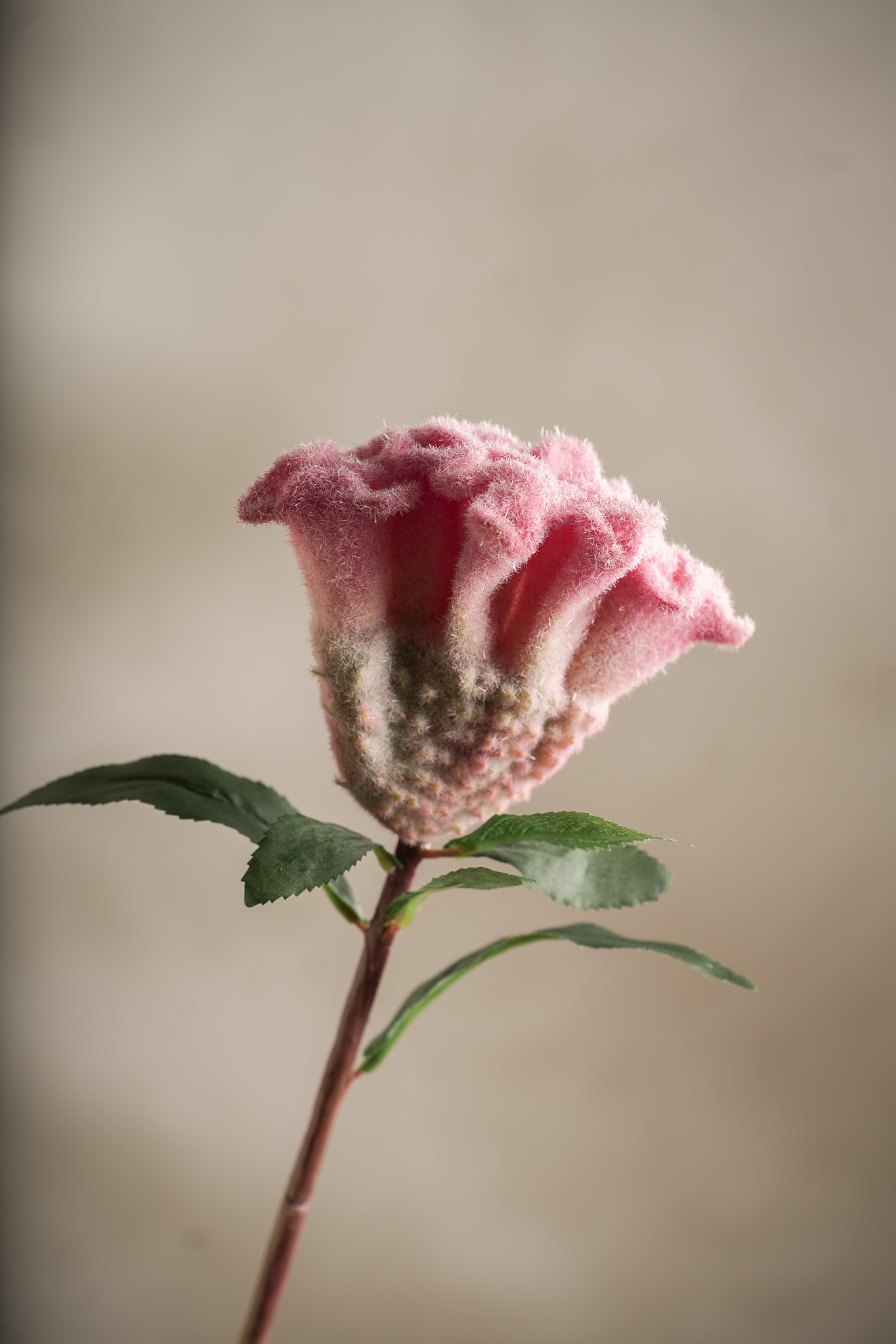Kunstig rosa Celosia 67 cm