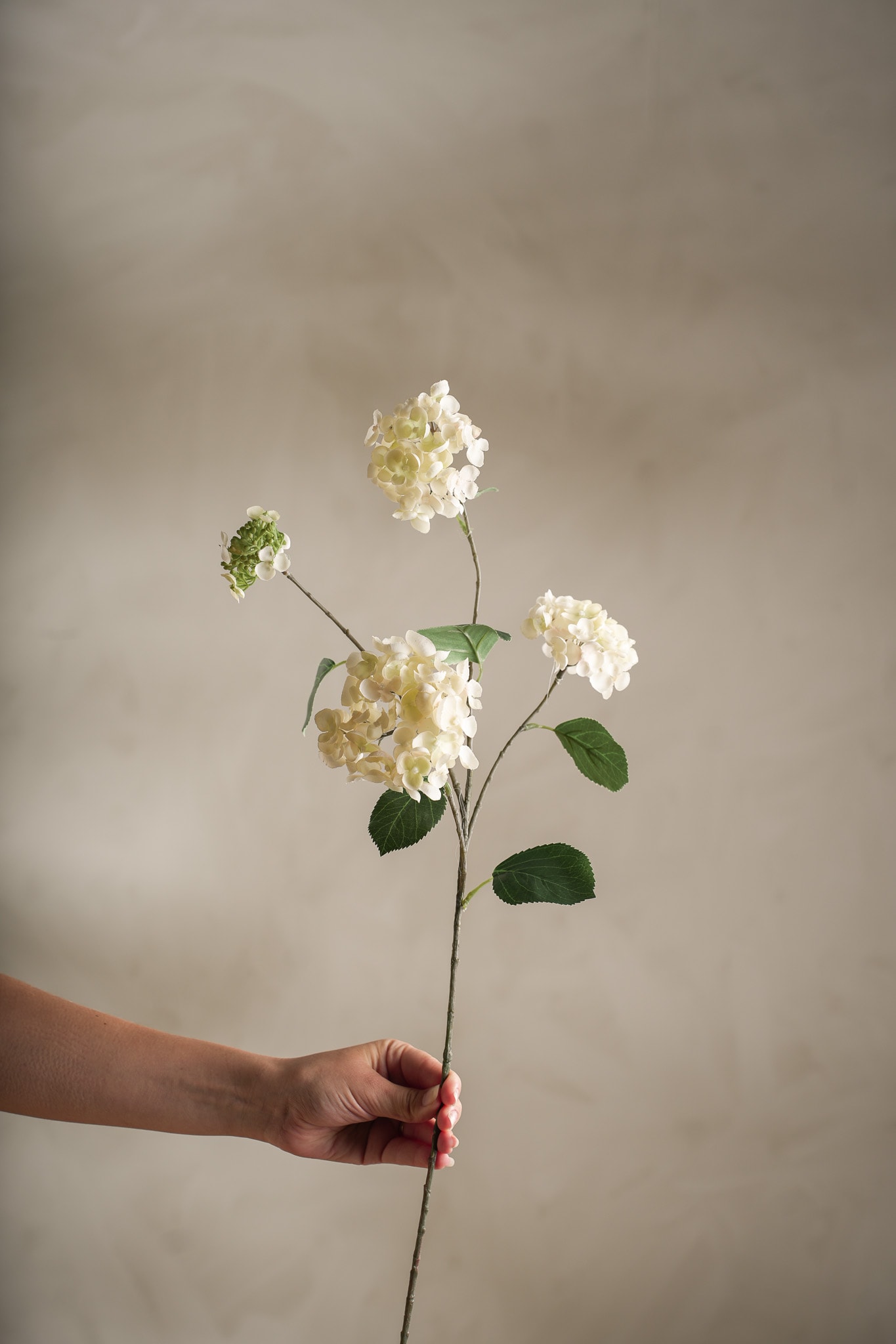 Kunstig kremfarget Hortensia 80 cm