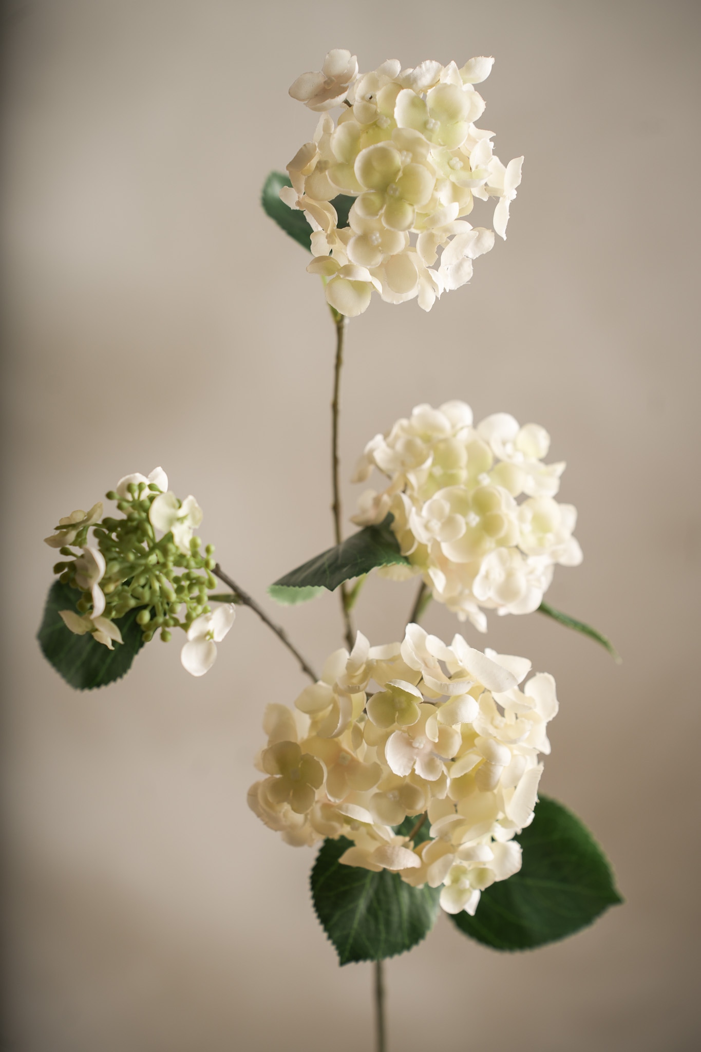 Kunstig kremfarget Hortensia 80 cm