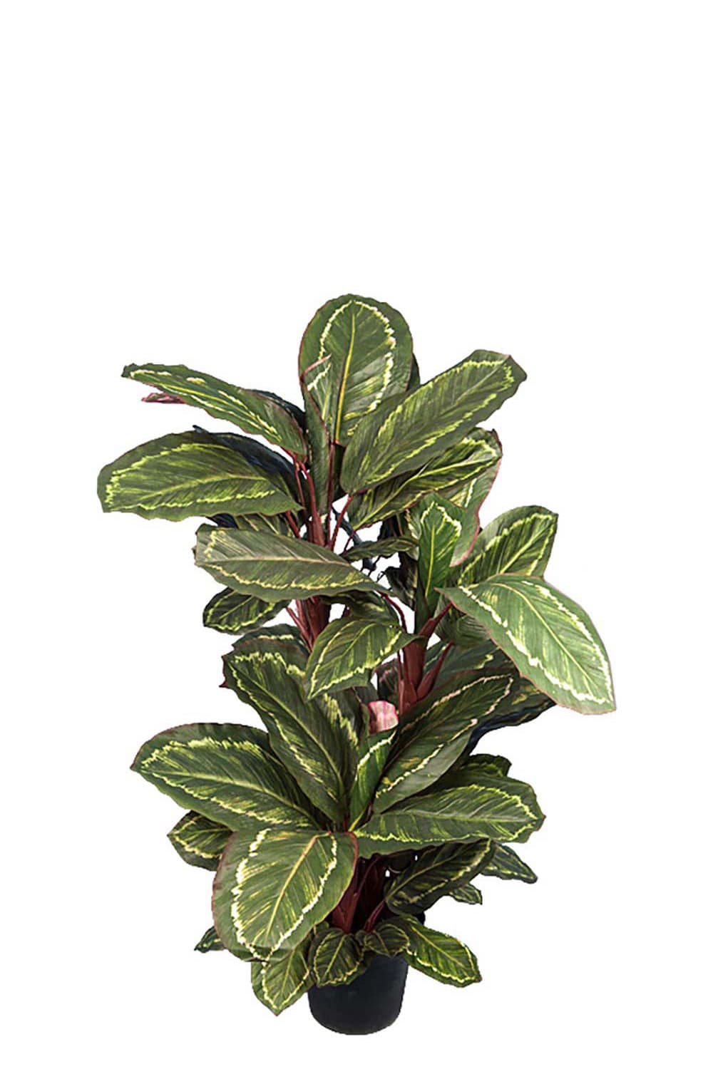 Kunstig grønn Maranta 104 cm