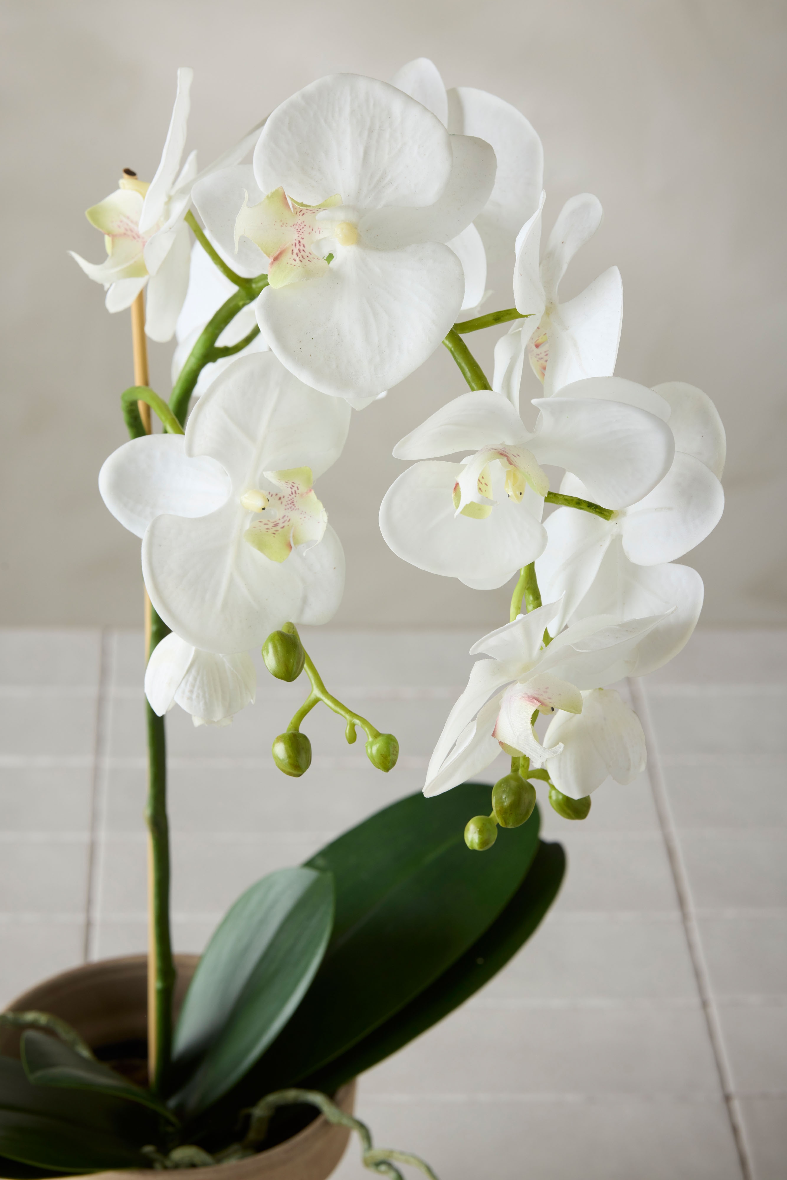 Kunstig hvit Phalaenopsis 60 cm