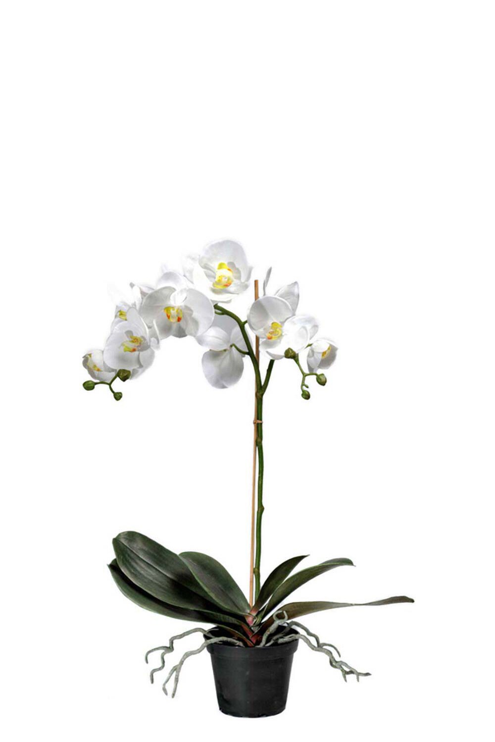 Kunstig hvit Phalaenopsis 60 cm