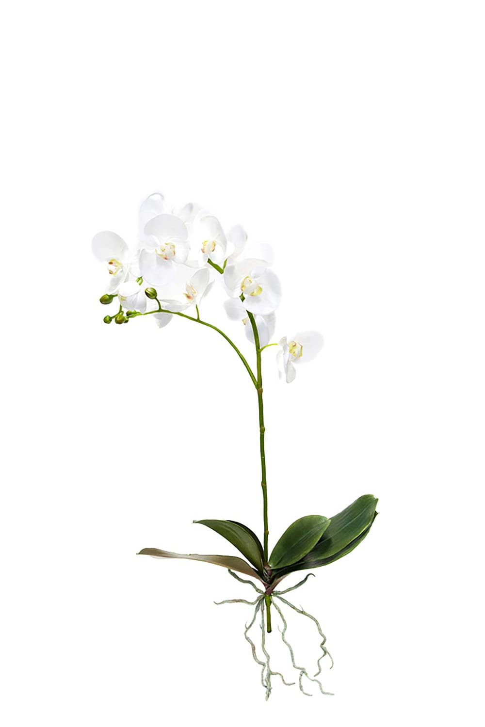 Kunstig hvit Phalaenopsis 80 cm