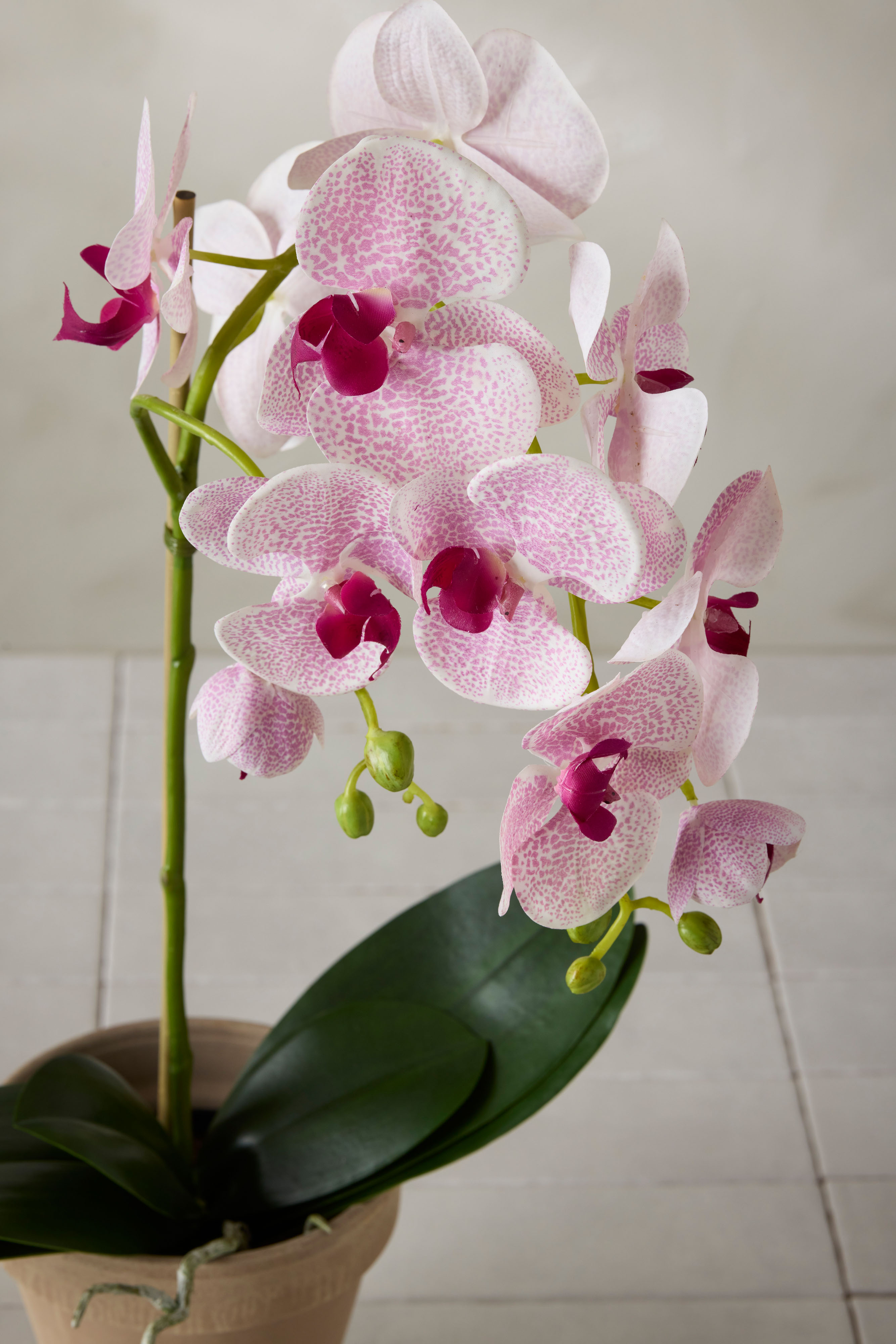 Kunstig lilla Phalaenopsis 60 cm