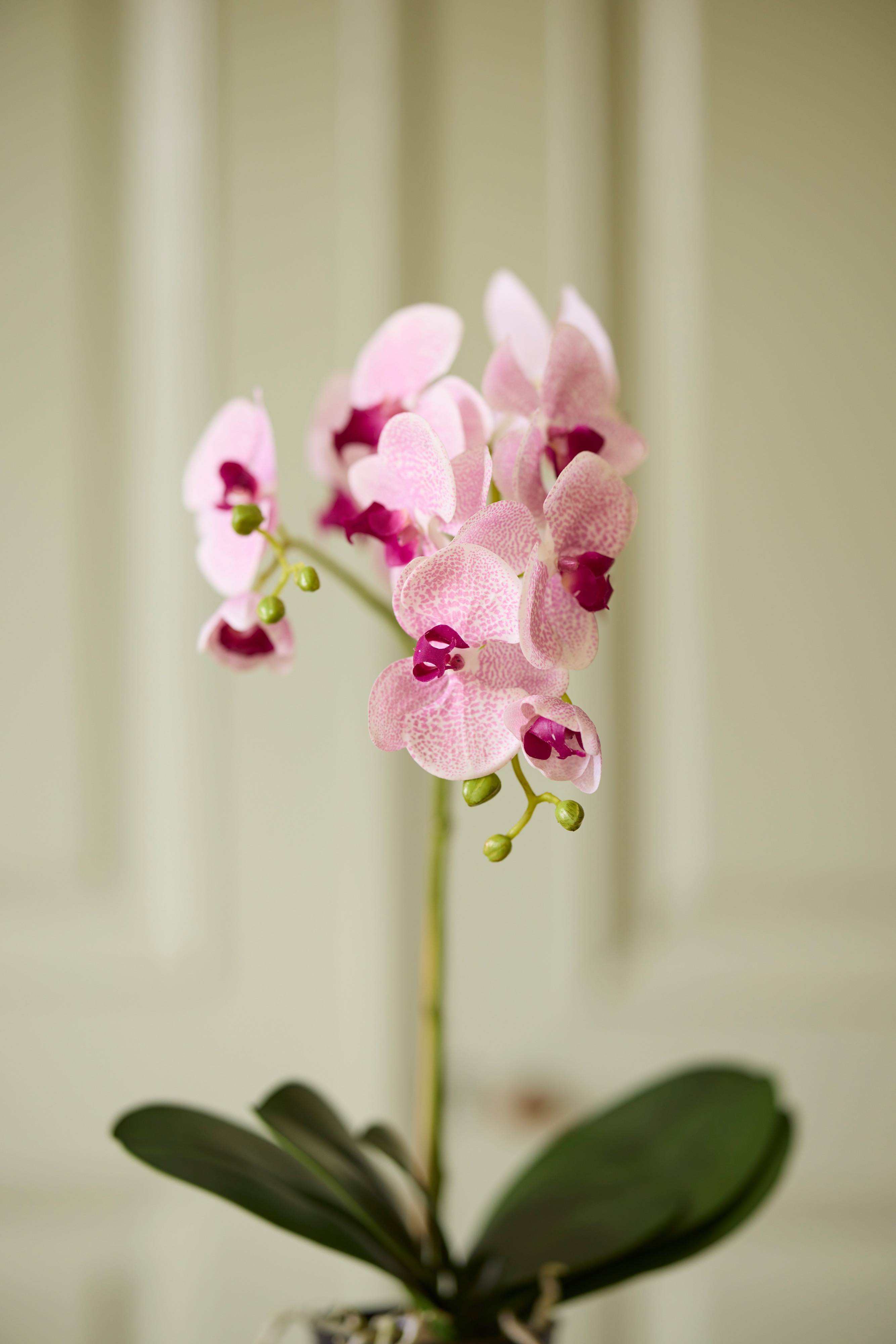 Kunstig lilla Phalaenopsis 60 cm
