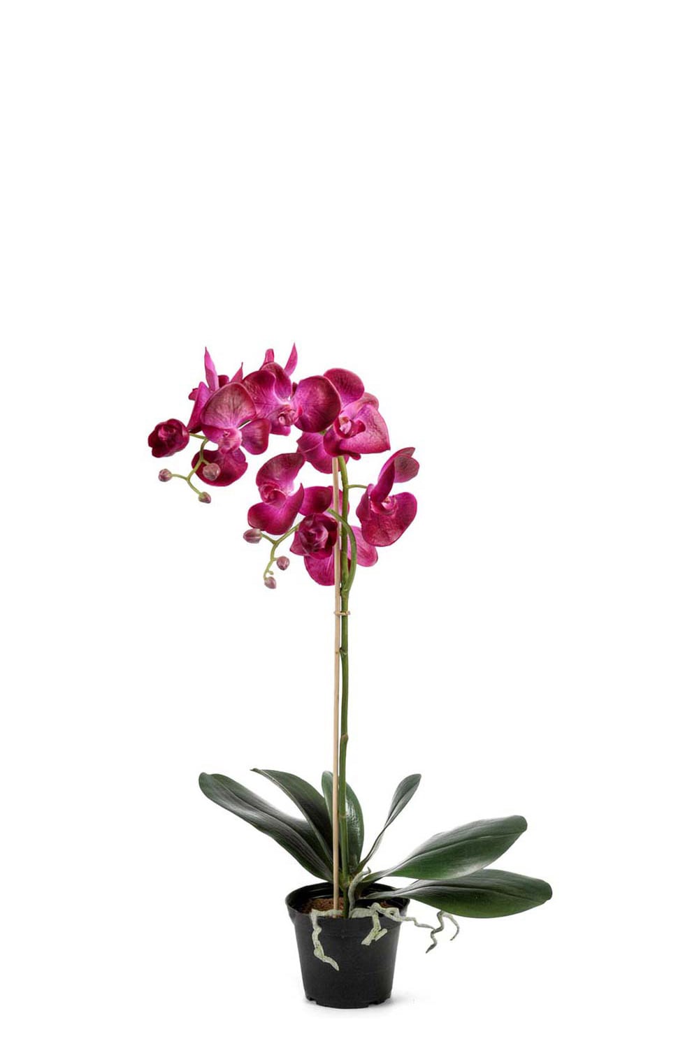 Kunstig lilla Phalaenopsis 60 cm