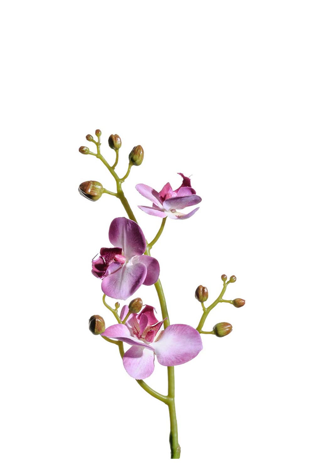 Kunstig lilla Phalaenopsis 50 cm
