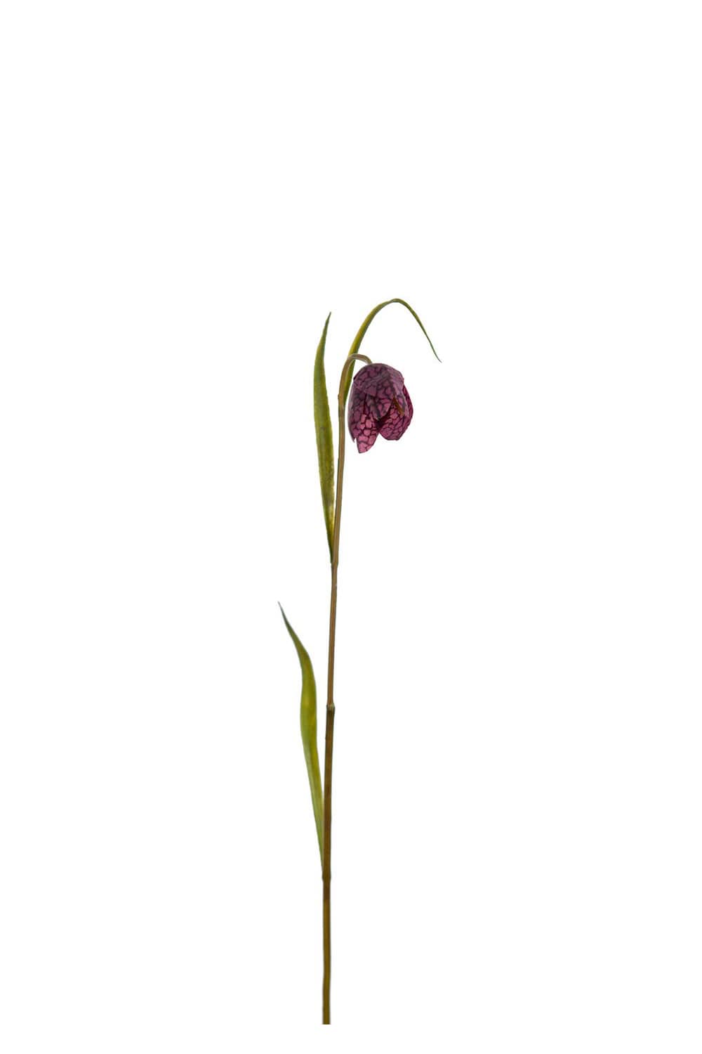 Kunstig rød Fritillaria 35 cm
