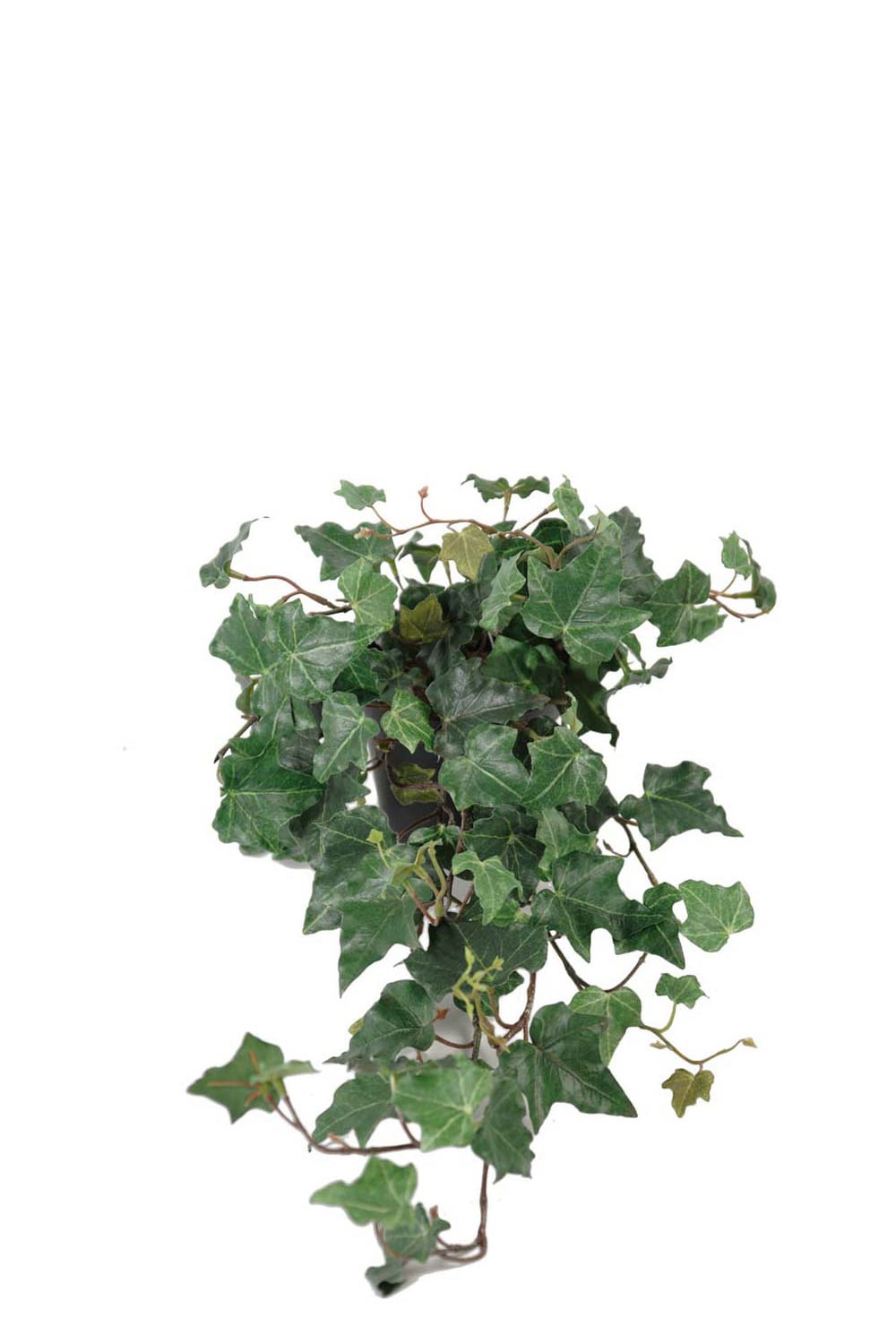 Kunstig grønn Eføy 55 cm