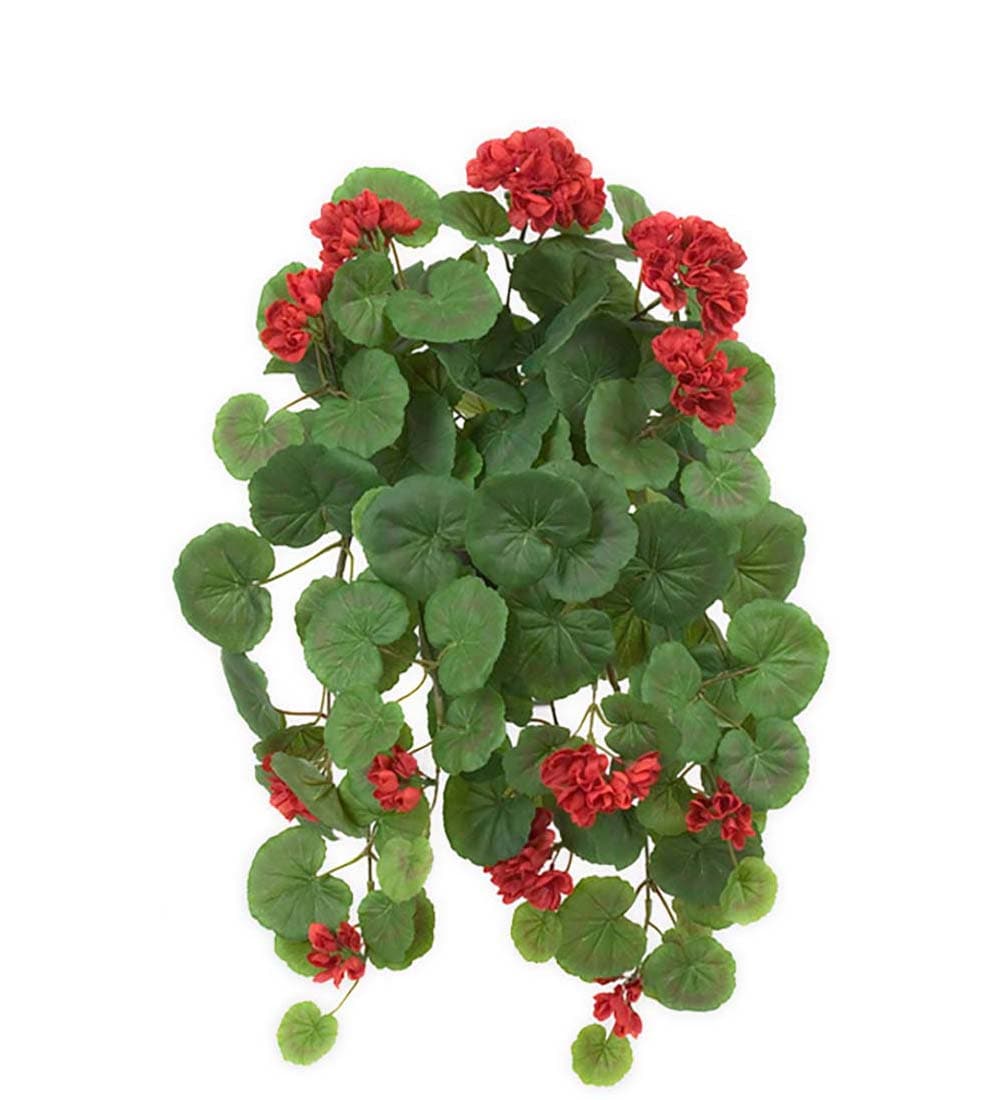 Hengende pelargon