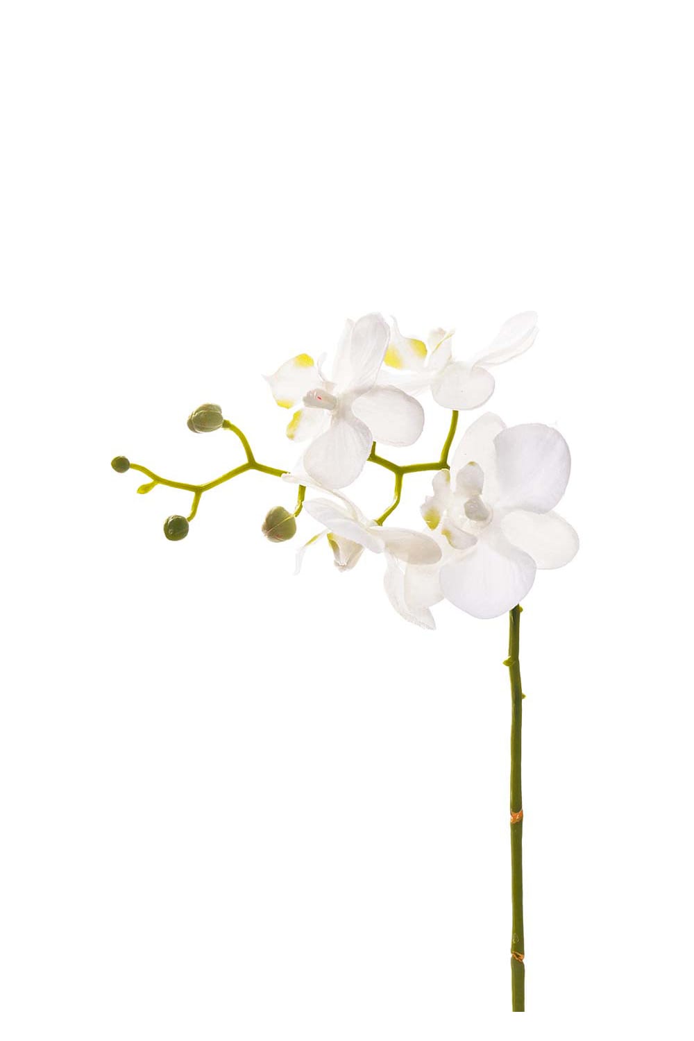 Kunstig hvit Phalaenopsis 28 cm