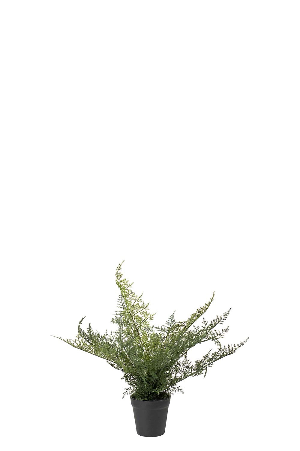 Kunstig grønn Plumosus 30 cm