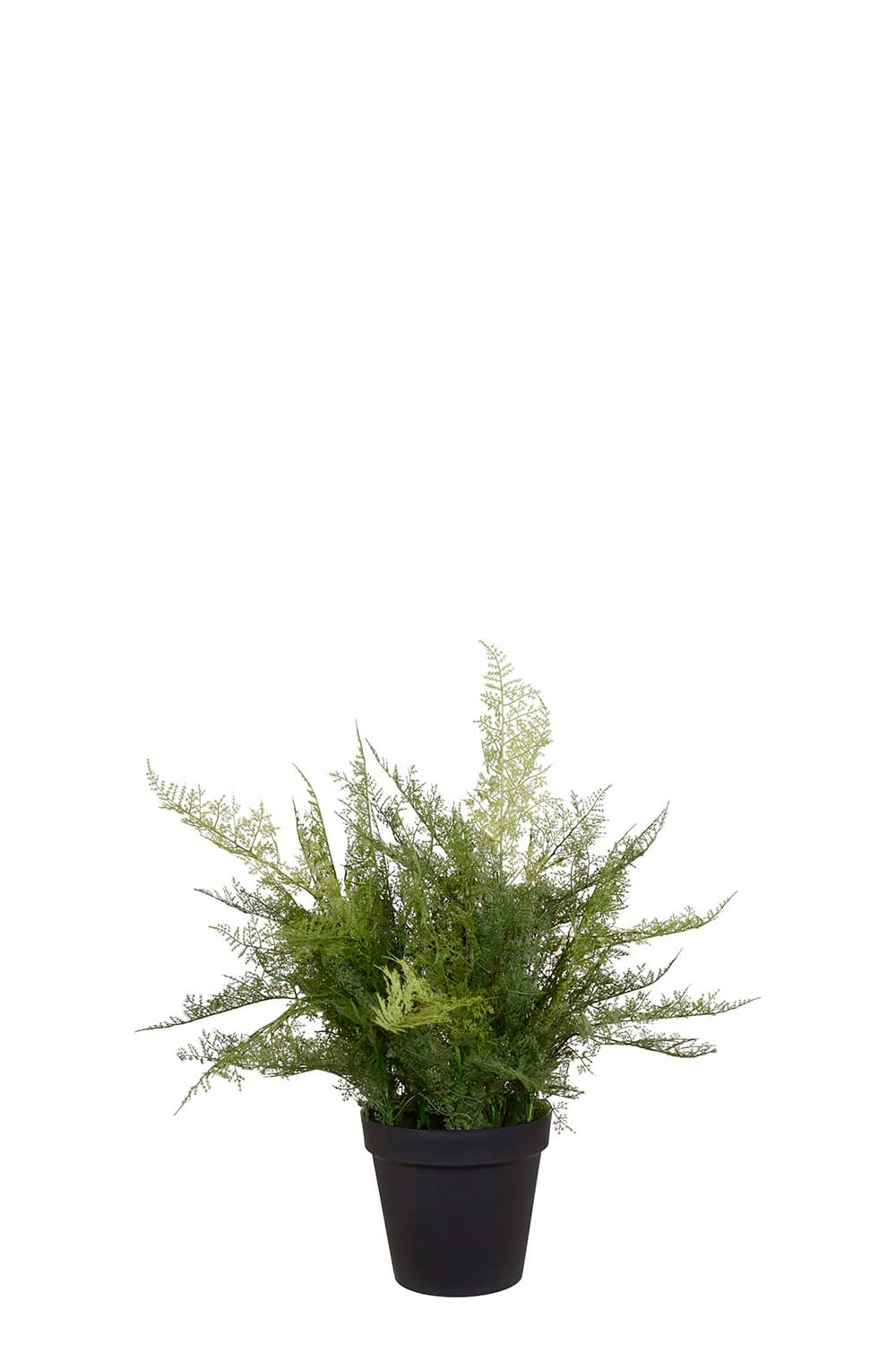 Kunstig grønn Plumosus 65 cm