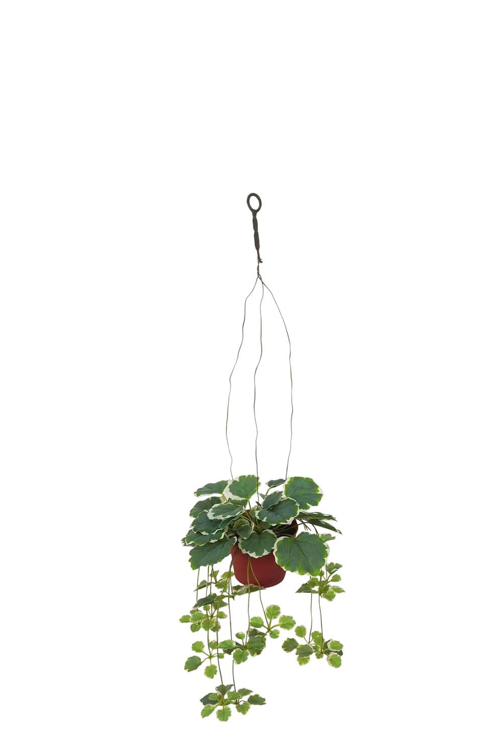 Kunstig grønn Saxifraga 15 cm