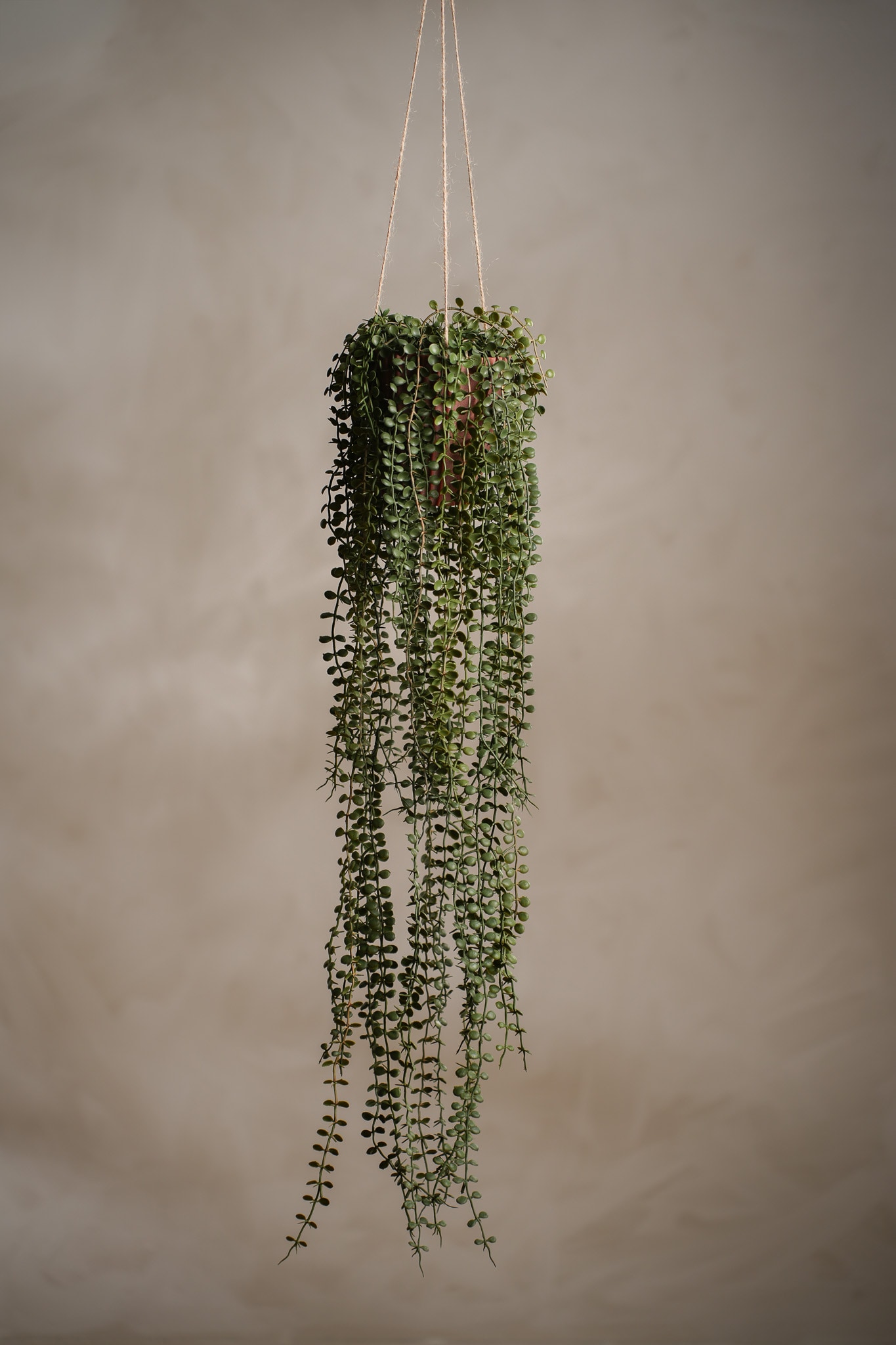 Kunstig grønn Senecio 15 cm