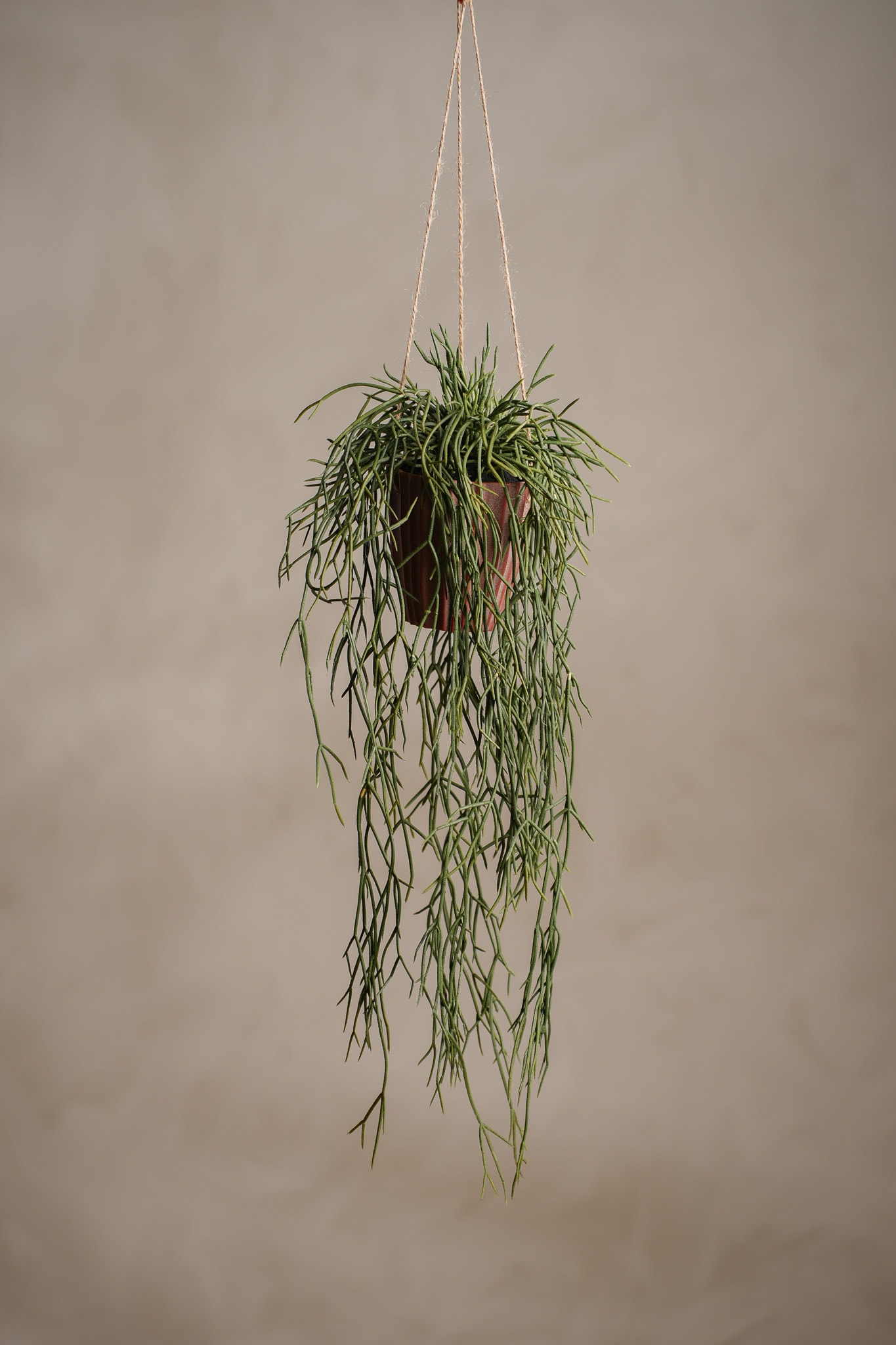 Kunstig grønn Rhipsalis 20 cm