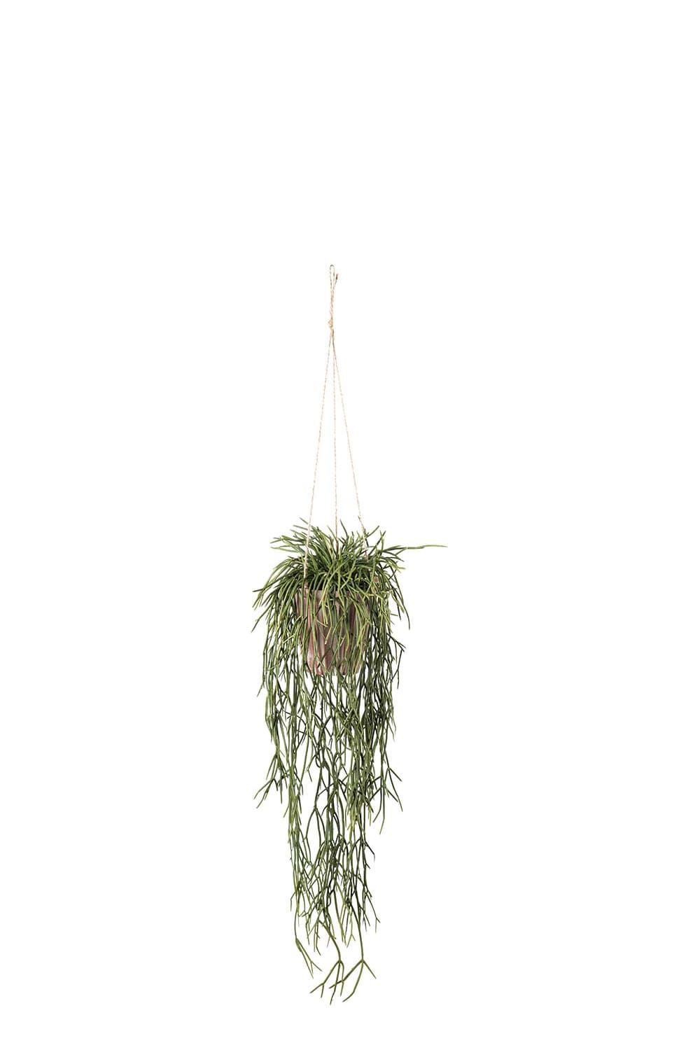 Kunstig grønn Rhipsalis 20 cm