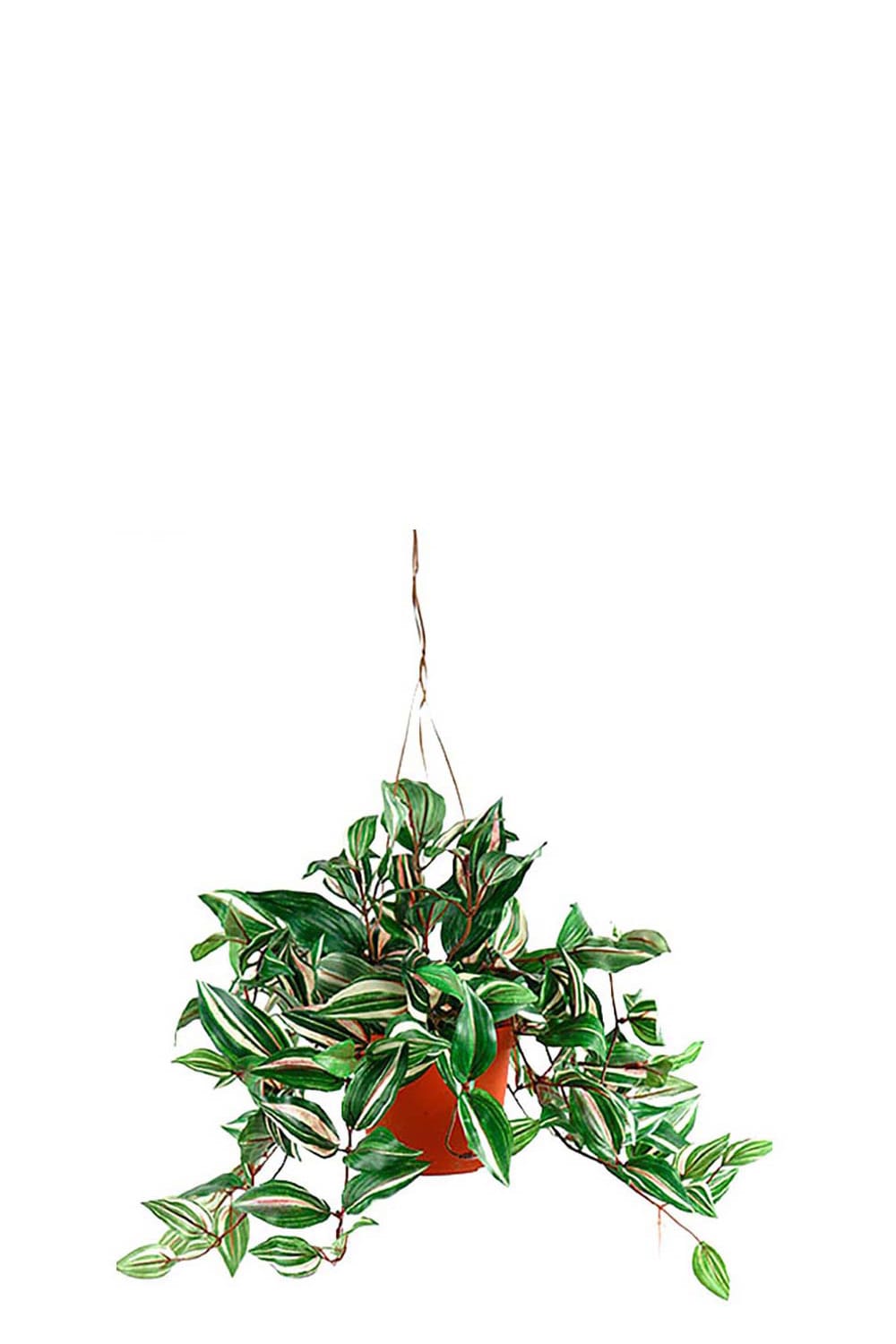 Kunstig grønn Tradescantia 40 cm