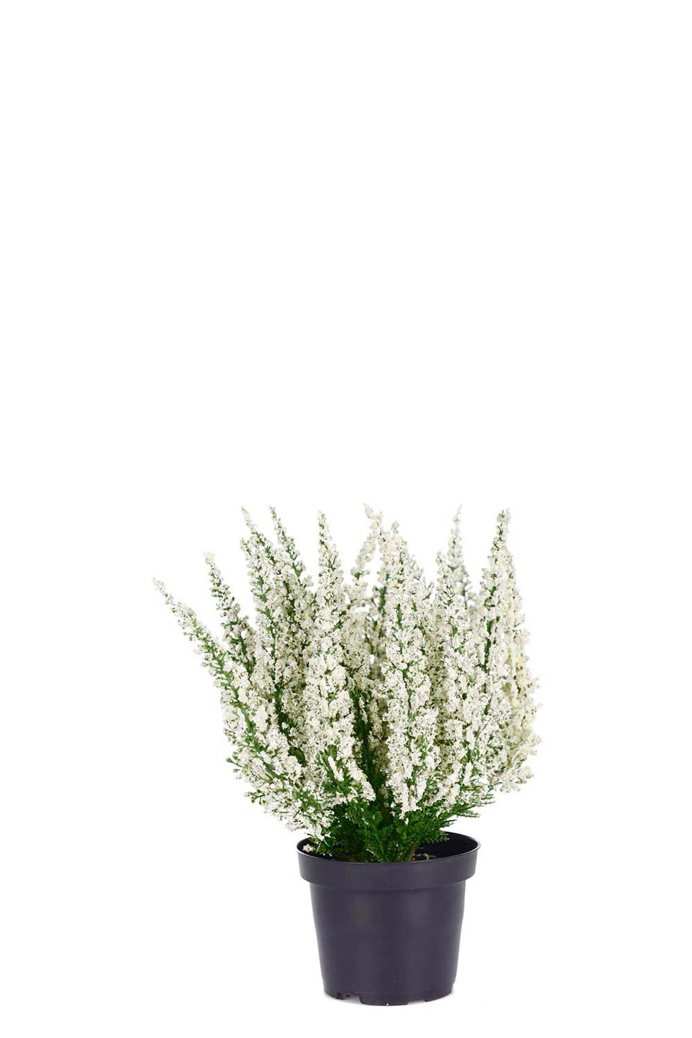 Kunstig hvit Lyng 28 cm