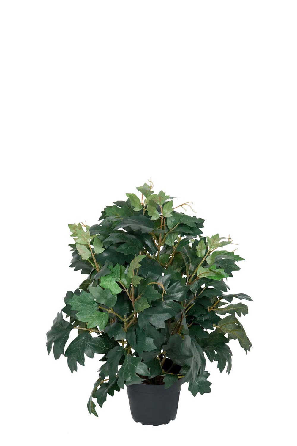 Kunstig grønn Cissus 35 cm