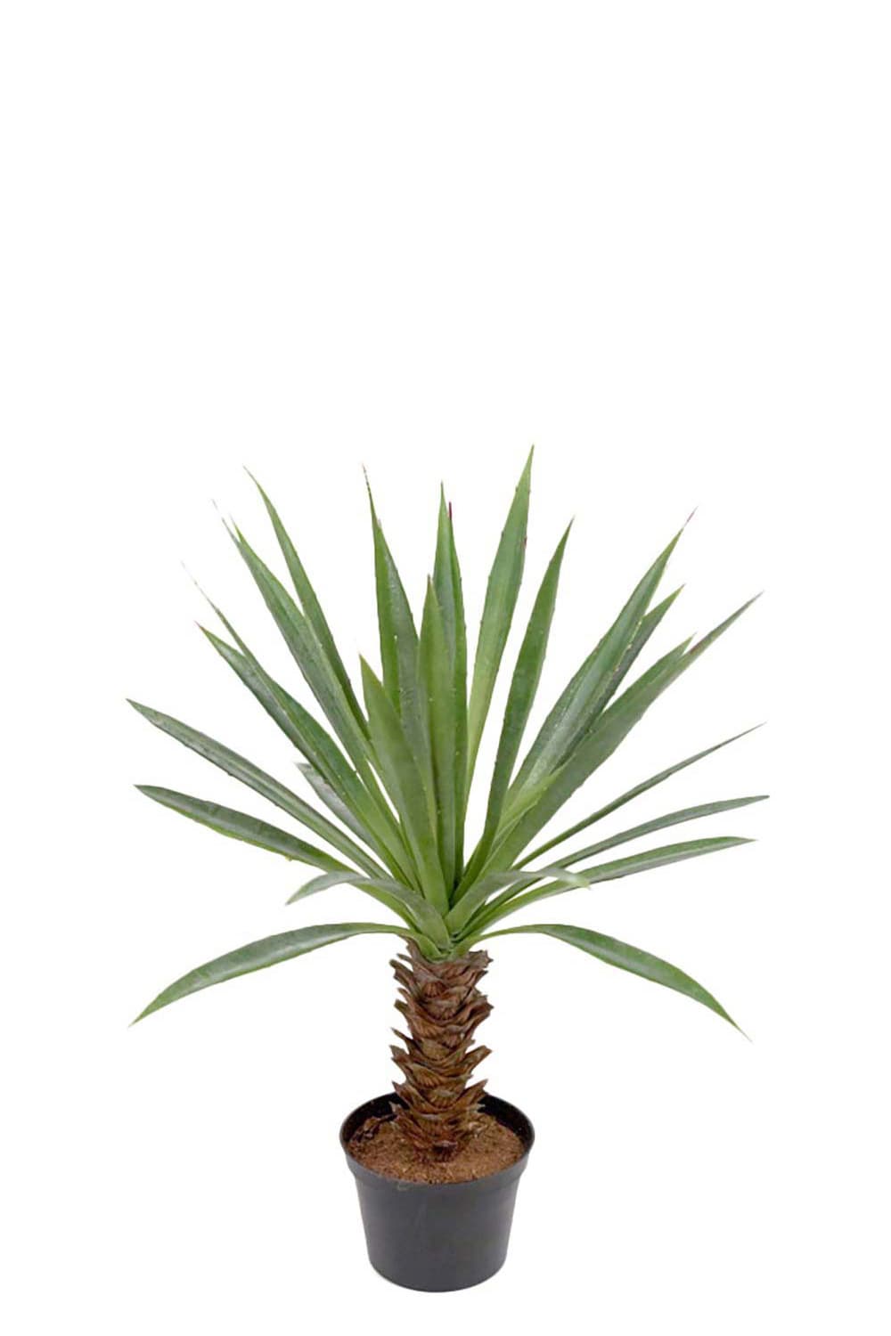 Kunstig grønn Agave 40 cm