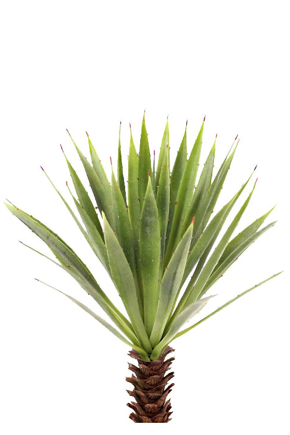 Kunstig grønn Agave 44 cm