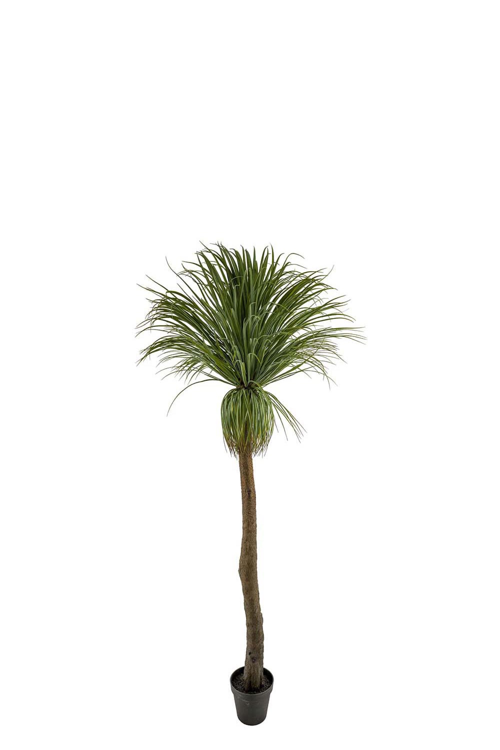 Kunstig grønn elefantfot 220 cm
