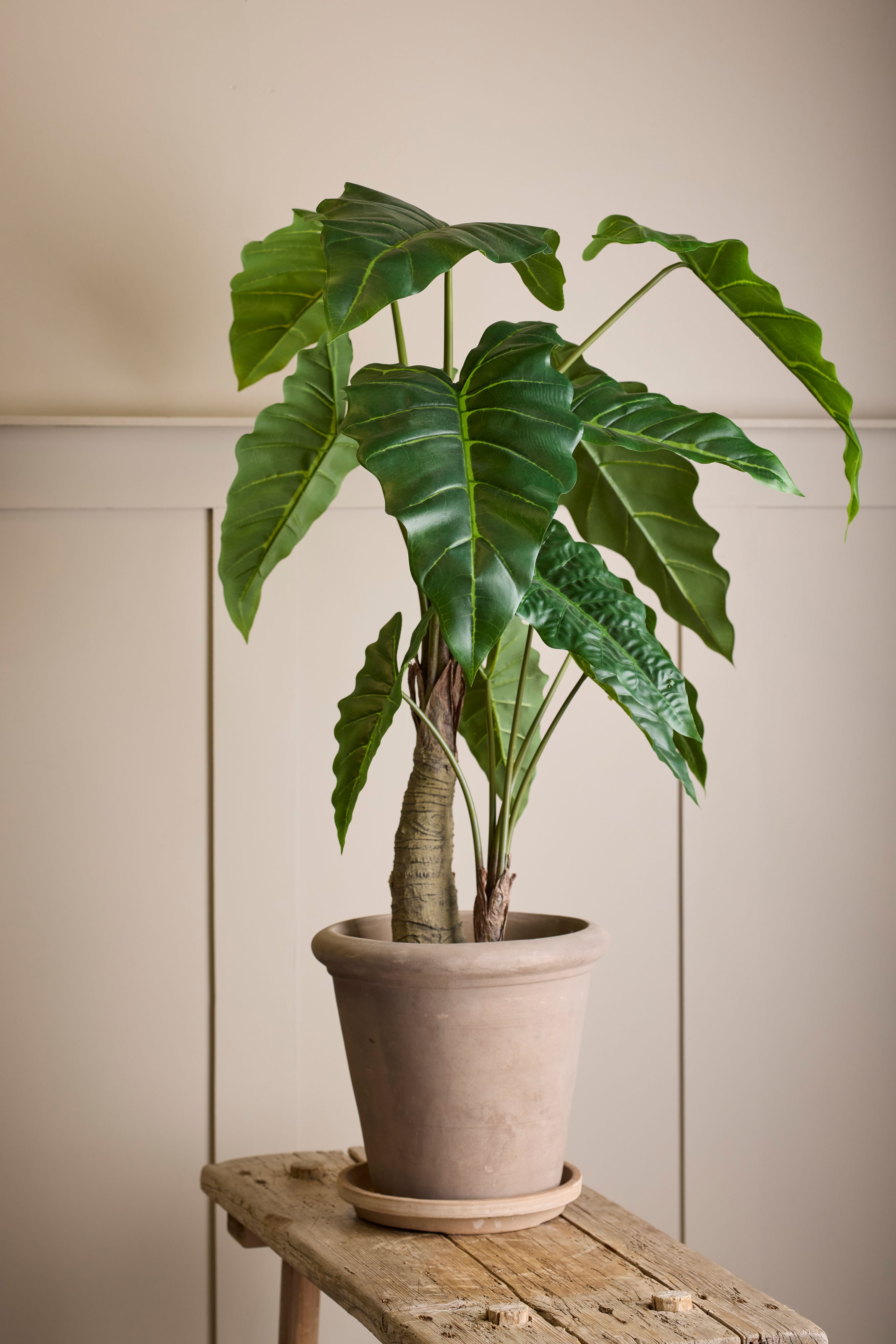 Kunstig grønn Alocasia 120 cm