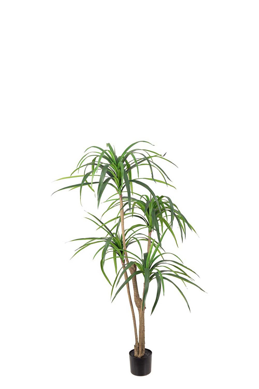 Kunstig grønn Dracaena 150 cm