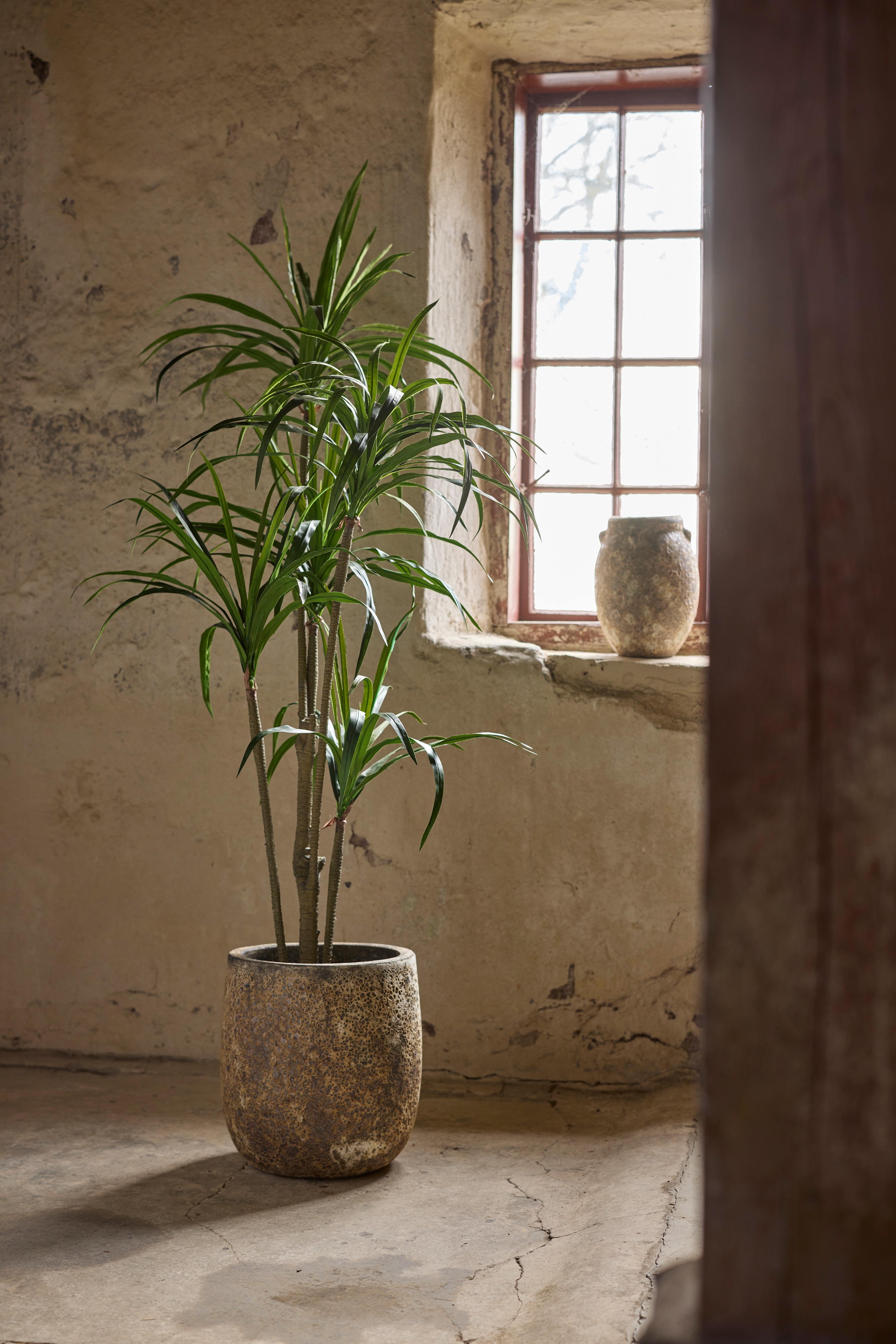 Kunstig grønn Dracaena 180 cm