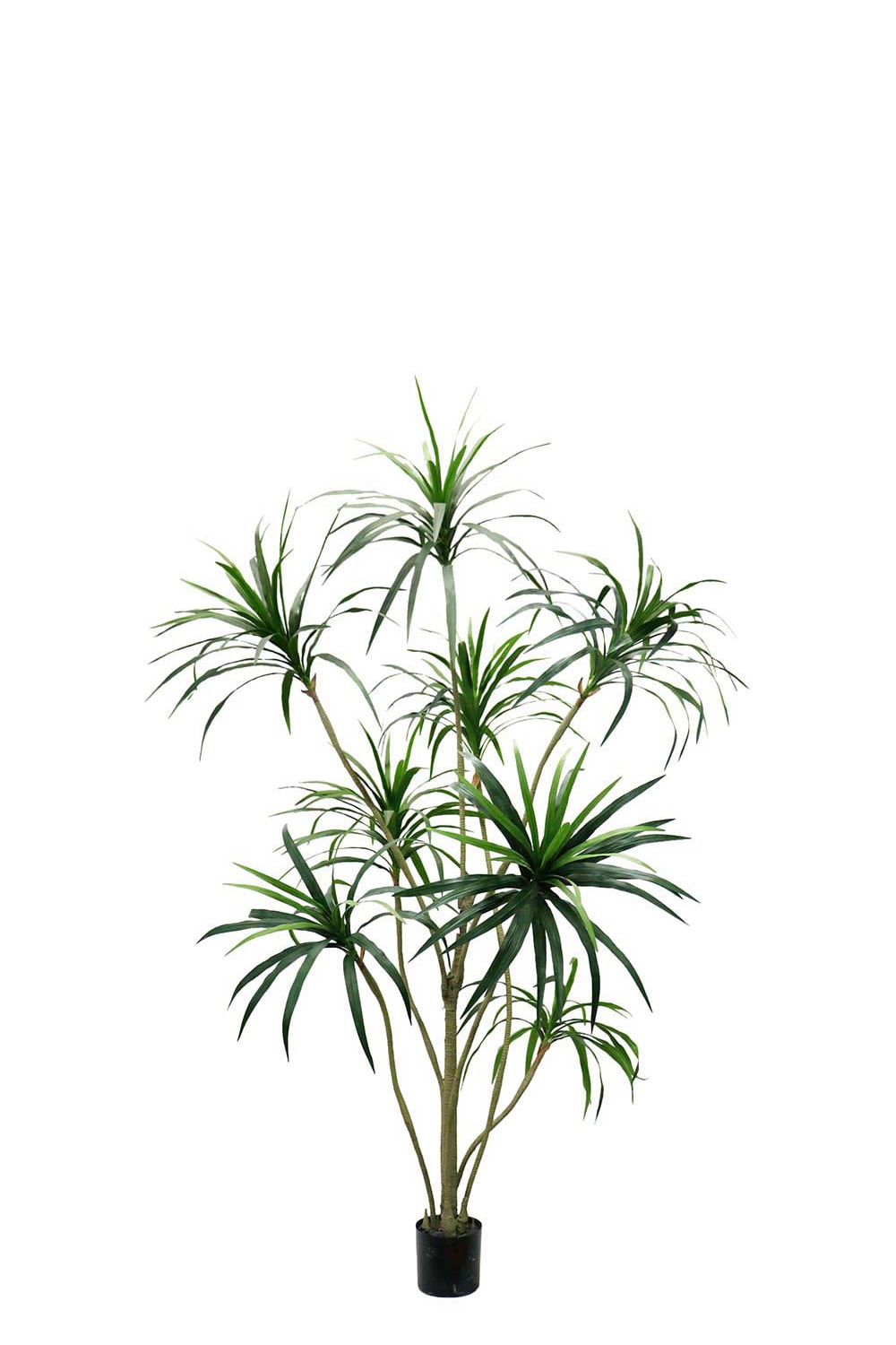 Kunstig grønn Dracena 240 cm