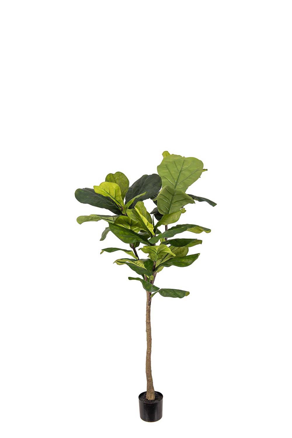 Kunstig grønn fiolbladfiken 150 cm