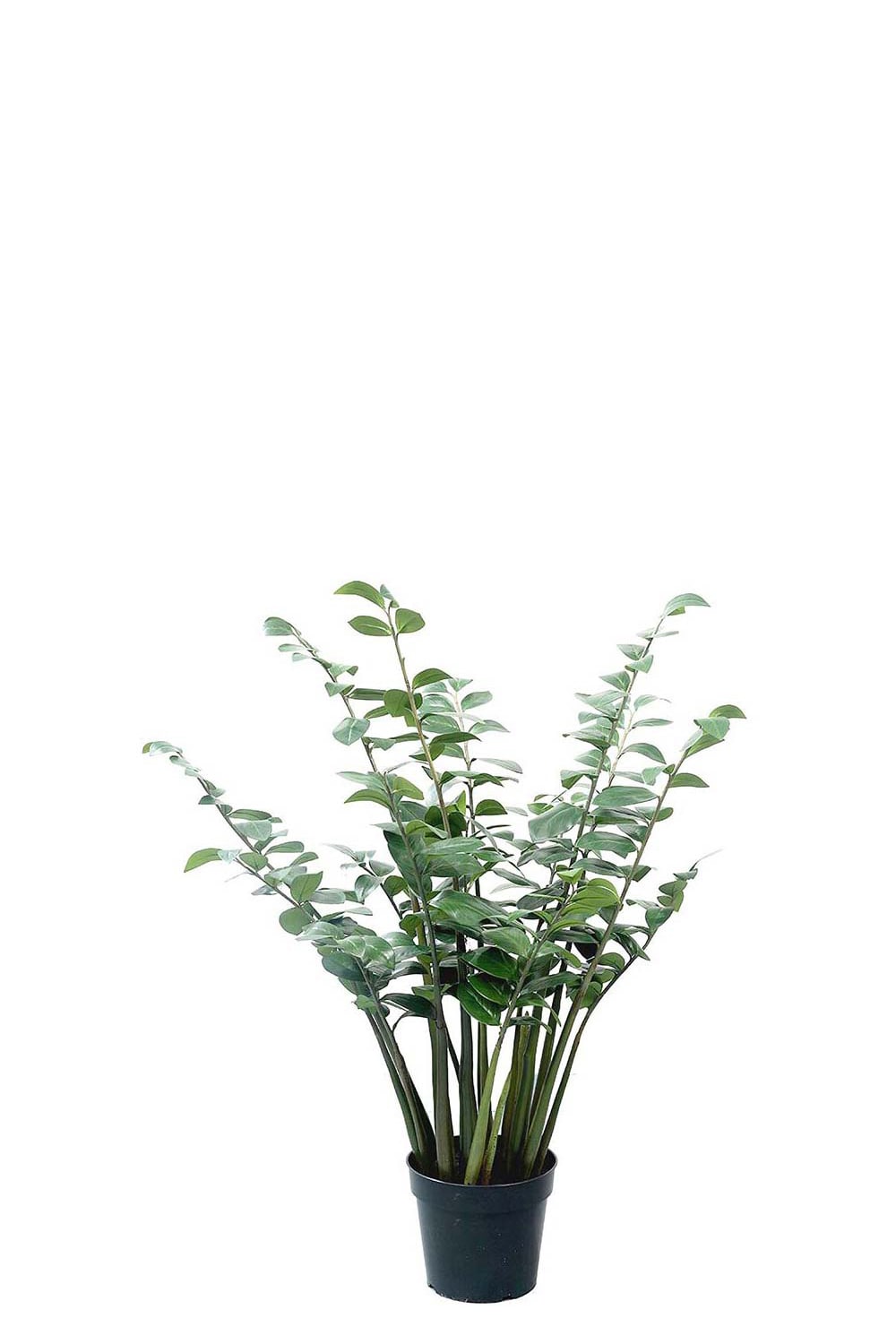 Kunstig grønn Zamifolia i potte 120 cm