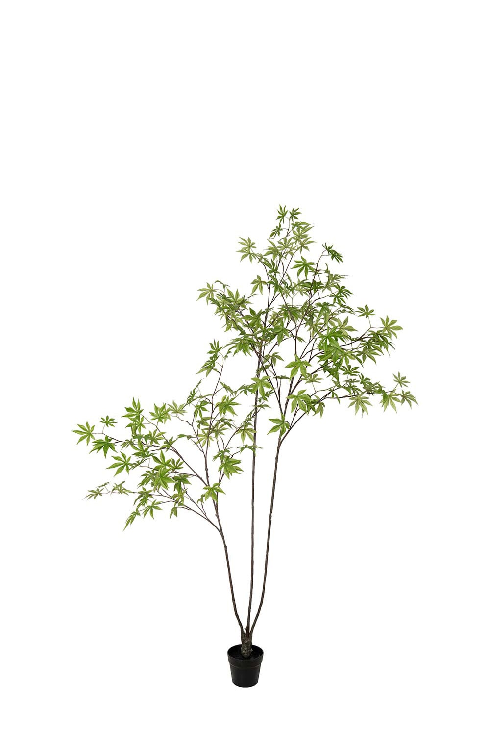 Kunstig grønn Japansk Lønn 220 cm