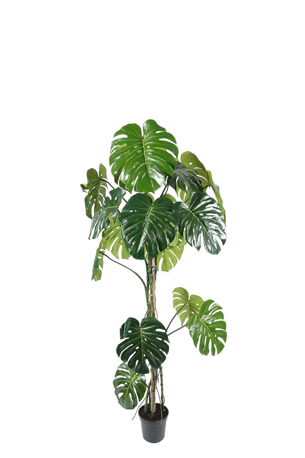 Kunstig Monstera 180 cm