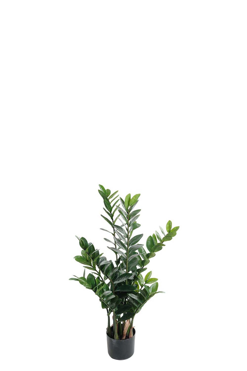 Kunstig grønn Zamifolia 90 cm