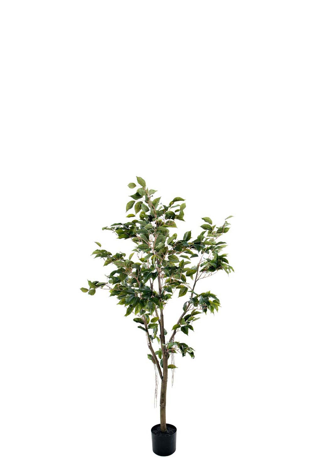 Kunstig grønn Benjaminfiken 150 cm