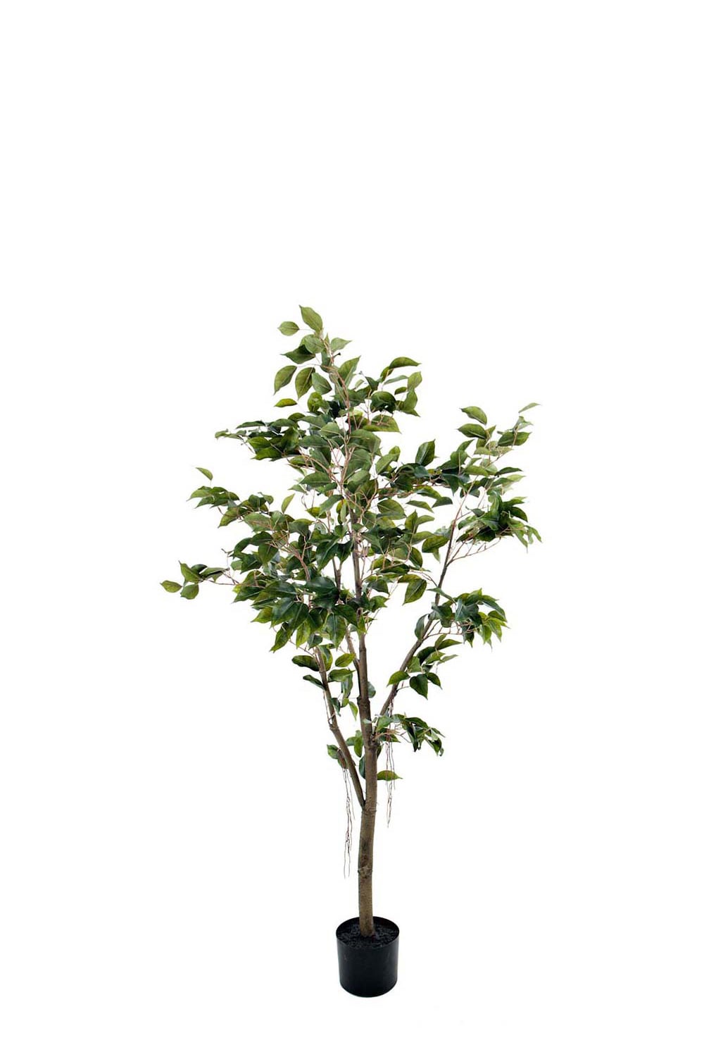 Kunstig Benjaminfiken 180 cm