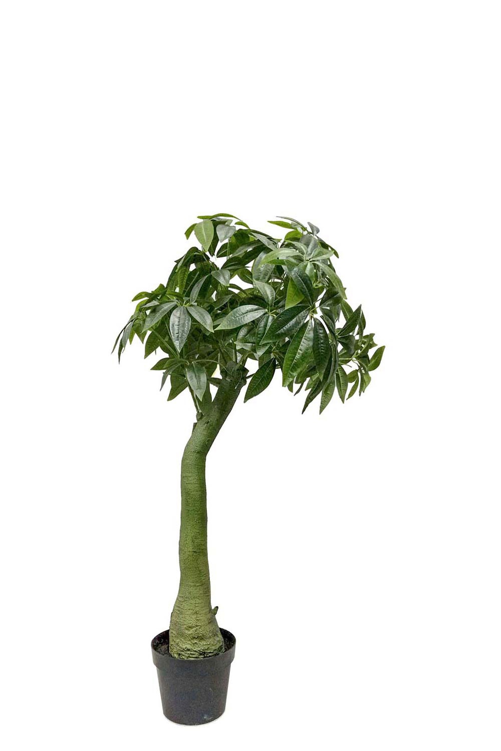 Kunstig Pachira 160 cm