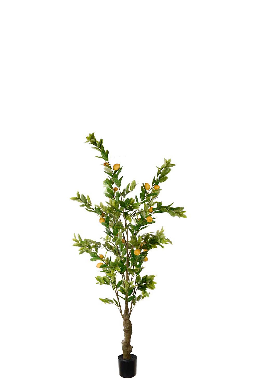 Kunstig grønn Sitrontre 240 cm