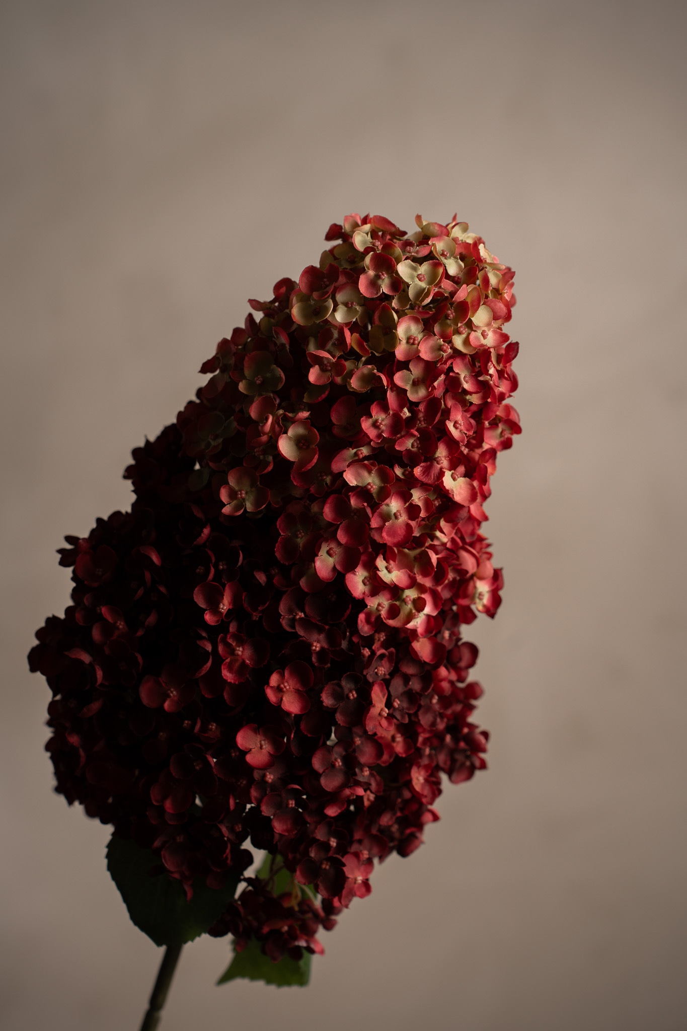 Kunstig burgunder Syrénhortensia 128cm