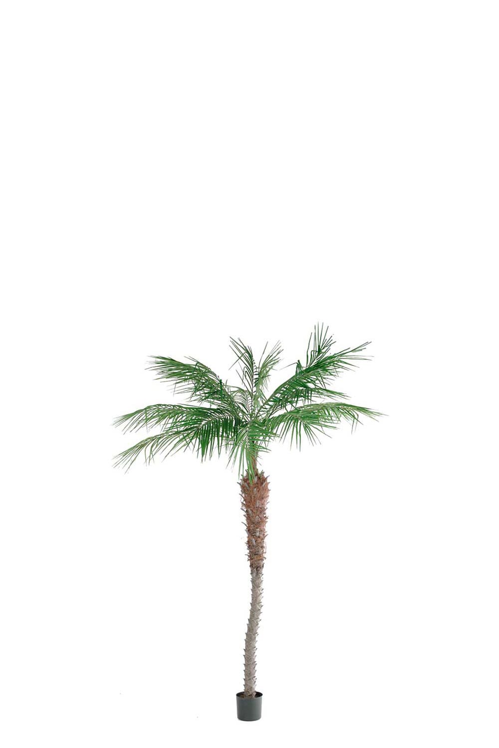 Kunstig phoenixpalme 210 cm