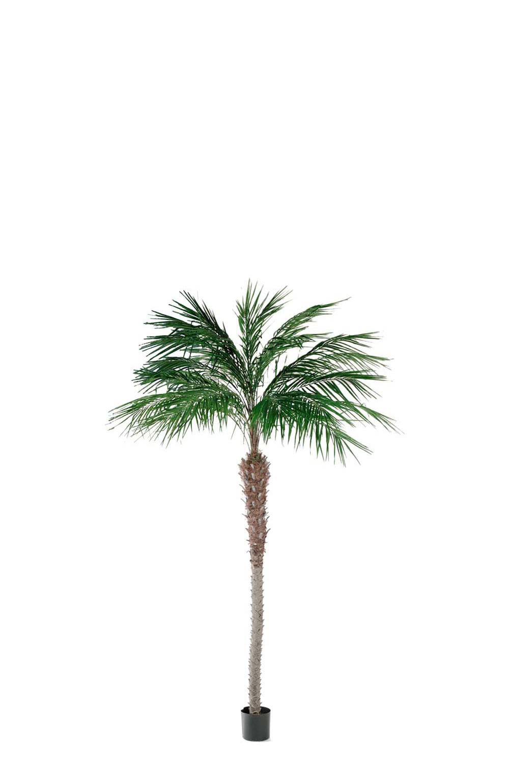 Kunstig phoenixpalme 240 cm